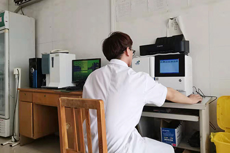 鈣鐵鋅哂檢測儀器黄瓜视频APP视频免费观看生物之缺銅的影響